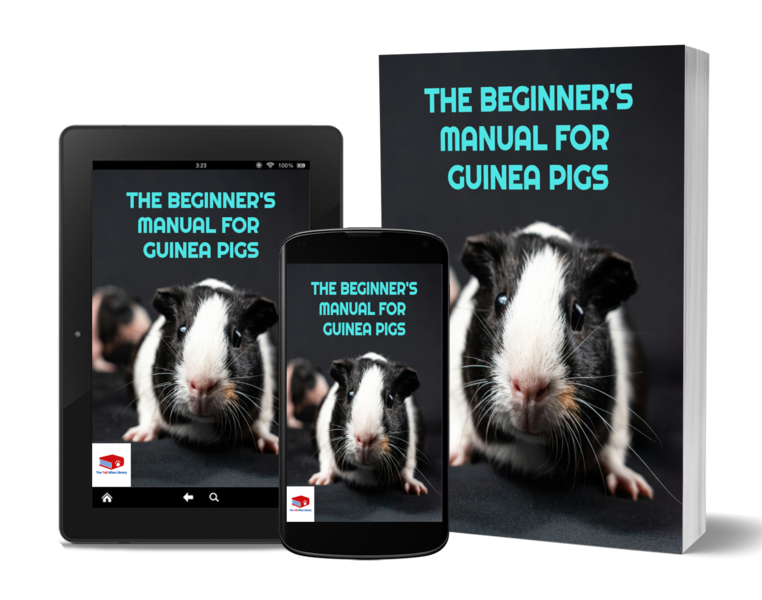 ✨ The Beginner's Manual For Guinea Pigs