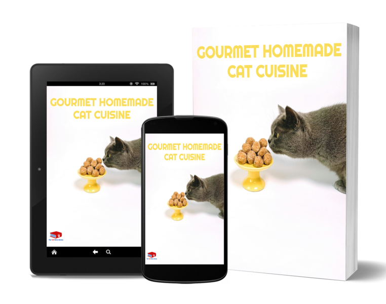 🍲 Gourmet Homemade Cat Cuisine
