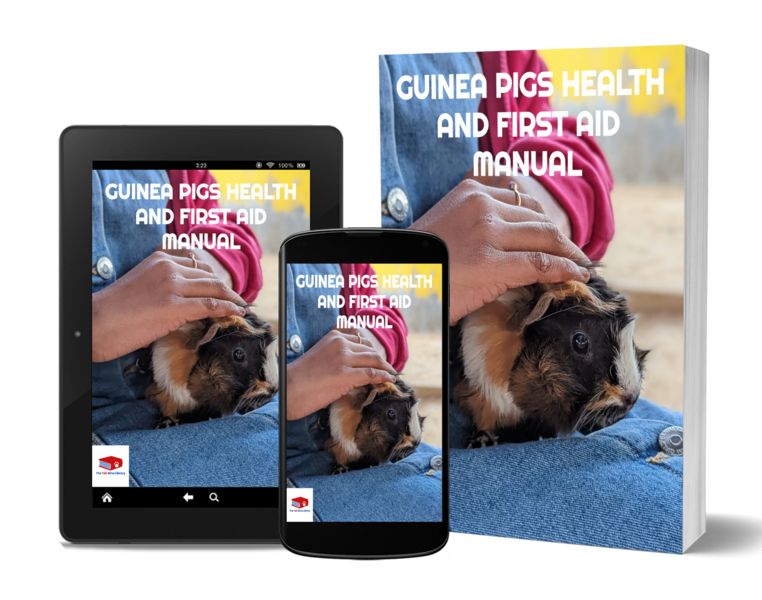 🏥 Guinea Pigs Health & First Aid Manual