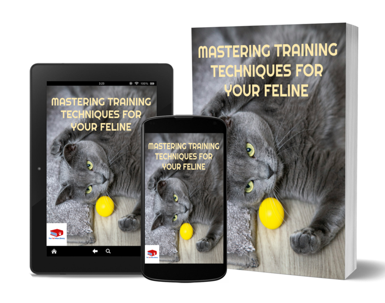 🐾 Mastering Training Techniques For Your Feline