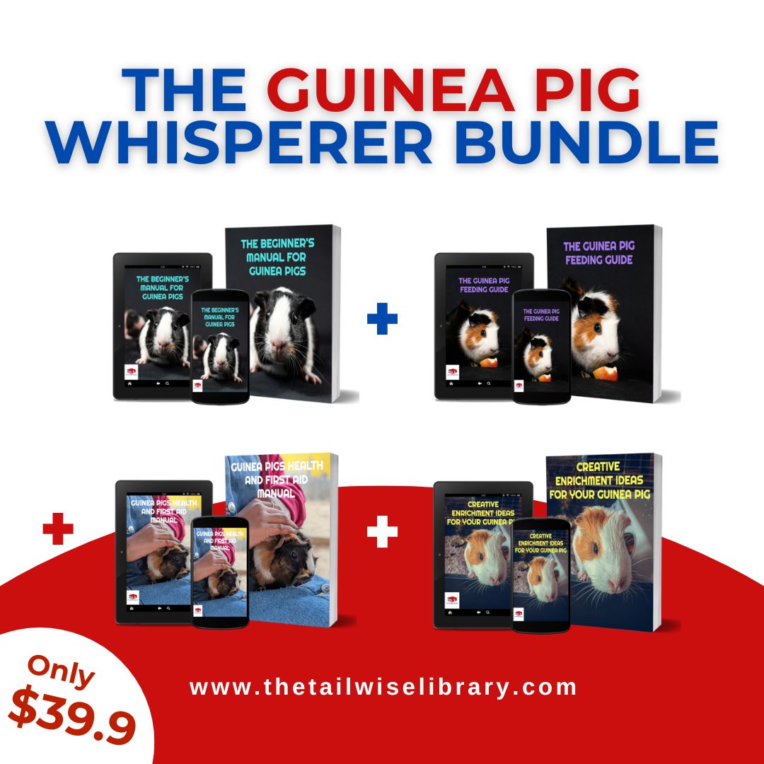 🐹 The Guinea Pig Whisperer