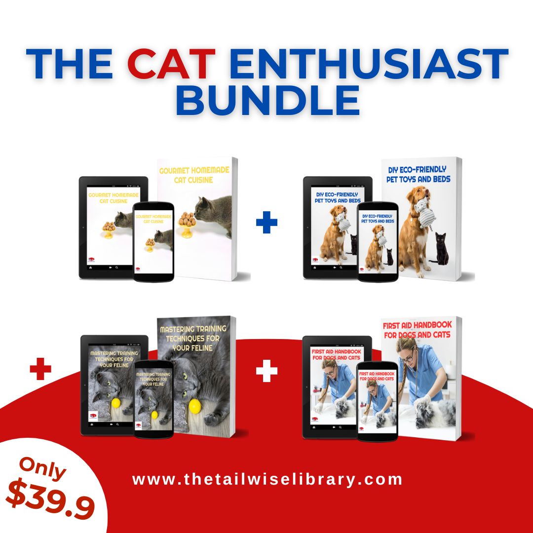 🐱 The Cat Enthusiast Bundle