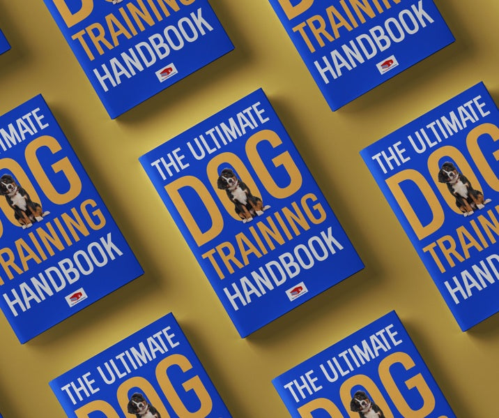🎯 The Ultimate Dog Training Handbook