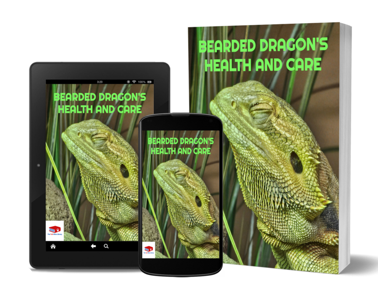 💊 Bearded Dragon Health and Care