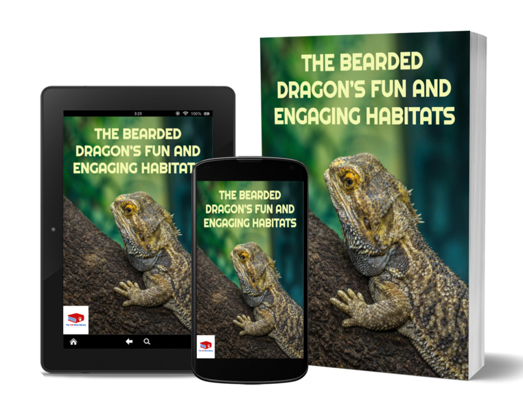 🏠 The Bearded Dragon's Fun and Engaging Habitats